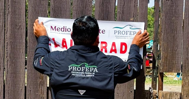 La Profepa impuso la clausura temporal total del zoológico “La Pastora”, ubicado en Nuevo León, por incumplir con la normatividad en materia de bienestar animal en el caso de la osa Mina. Foto: X @PROFEPA_Mx