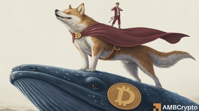 Dogecoin's Q4: Whales stack, FOMO holds, and ETF dream comes true