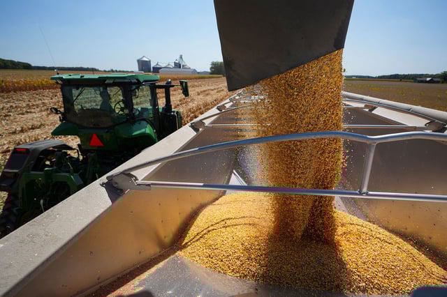 Corn is loaded onto a truck as harvest continues on the Warpup Farms in Warren, Ind., Thursday, Sept. 11, 2025.