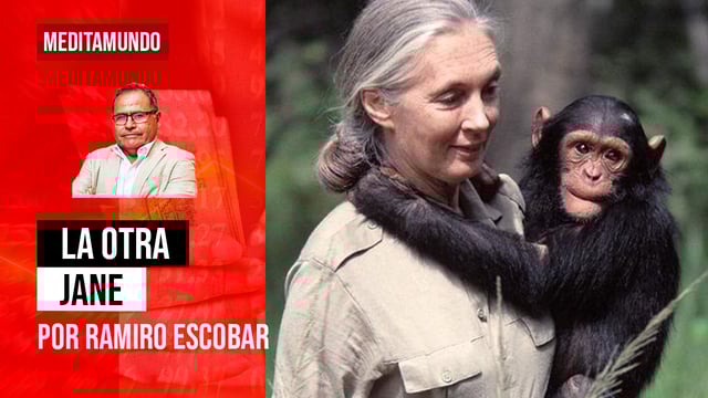 La otra Jane, por Ramiro Escobar