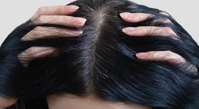 Este champú de Walmart borra las CANAS y funciona como TINTE PROFESIONAL a precio accesible