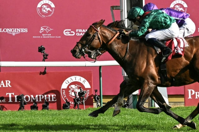 Le cheval pur-sang français Daryz, monté par Mickaël Barzalona a remporté le Prix de l'Arc de Triomphe 2025, défendant les couleurs de l'Aga Khan, à Paris le 5 octobre 2025.