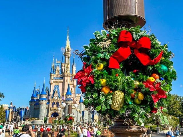 It's the holiday season!