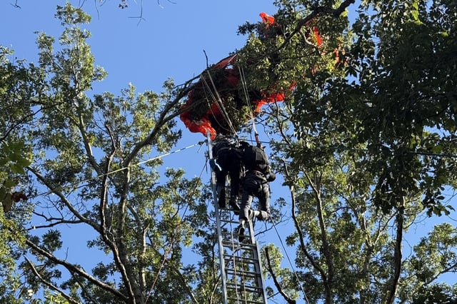 Crews rescue a skydiver whose parachute became entangled in a tree following a fatal accident in Nashville on Saturday.