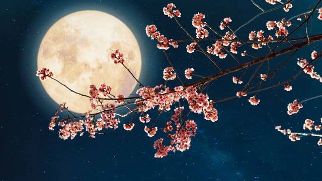​Sharad Purnima is being observed today. (Photo: iStock)