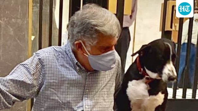 Ratan Tata with Goa, his favourite dog from the pack that called Bombay House their home