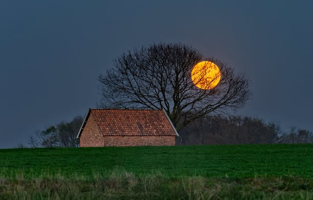The Harvest Moon is the name given to the Full Moon that occurs closest to the autumnal equinox. Credit: Johan Wieland (Flickr, CC BY-ND 4.0)