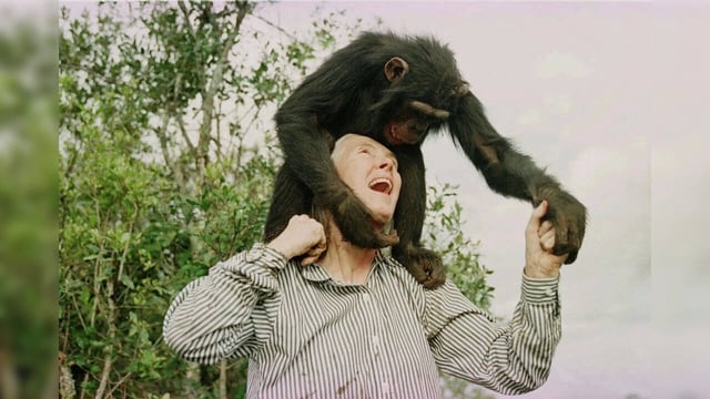 Jane Goodall ELon Musk