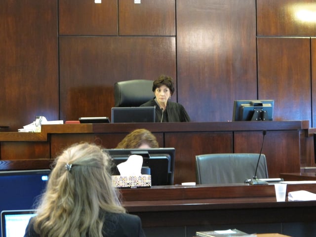 Circuit Judge Diane Goodstein presides over a trial in a lawsuit on July 8, 2014, in St. George, S.C.