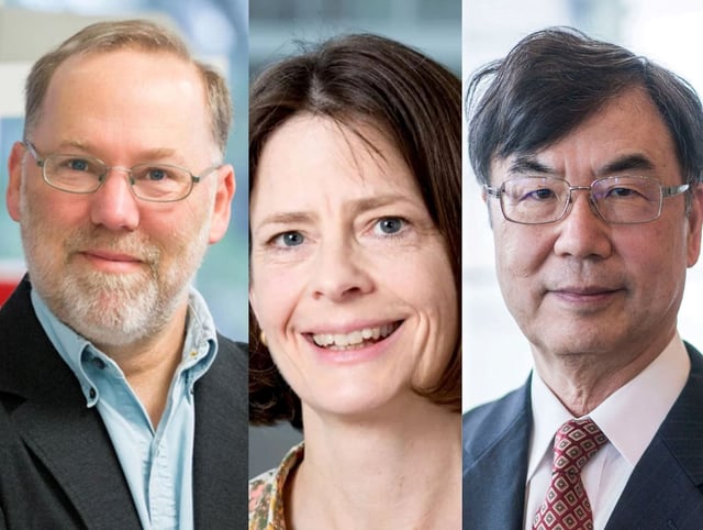 Fred Ramsdell, Mary E. Brunkow et Shimon Sakaguchi.