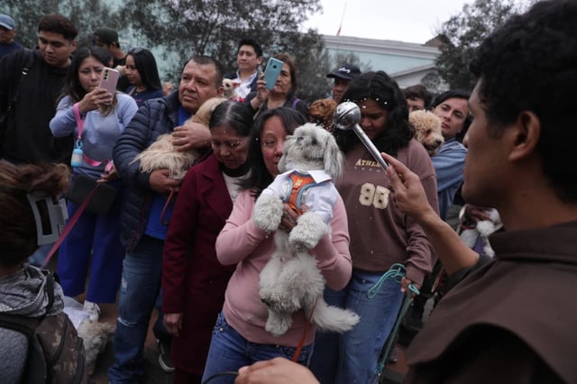 Bendición de mascotas.