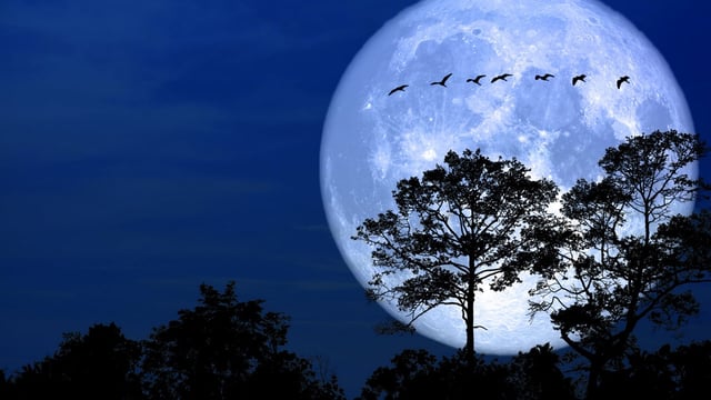 La Luna llena podrá verse desde cualquier parte del país y sin necesidad de contar con alguna ayuda óptica.