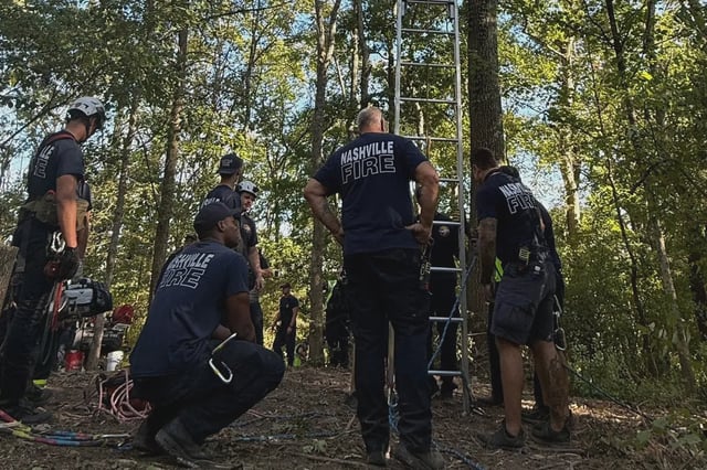 Firefighters rescued a skydiver caught in a tree near the Ashland City Highway in Nashville on Saturday.