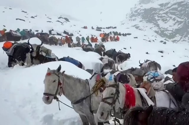 In this photo taken Oct. 4, 2025 and released by Lingsuiye, villagers with their oxen and horses ascend the mountain during rescue efforts to reach hundreds of hikers trapped by heavy snow at tourist campsites on a slope of Mount Everest in Tibet on Sunday, Oct. 5, 2025.