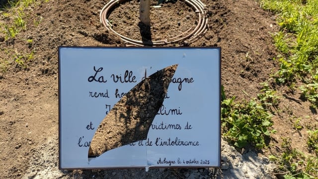 Inaugurée samedi 4 octobre, la plaque rendant hommage à Ilan Halimi "et à toutes les victimes de l’antisémitisme et de l’intolérance" a été dégradée. L’olivier qu’elle accompagnait va bien.