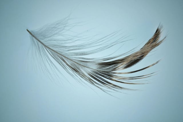 Plume rises 25% as network registered by sec as transfer agent for tokenized securities