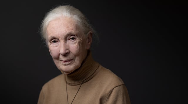 British ethologist and primatologist Jane Goodall poses during a photo session on October 18, 2024 in Paris. (JOEL SAGET / AFP)