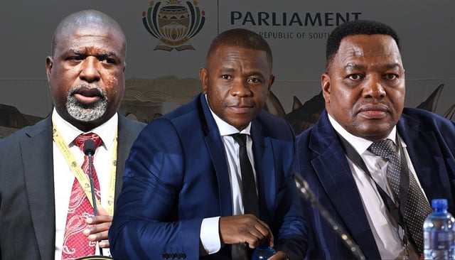 Illustrative image, from left: Chair of the parliamentary ad hoc committee Soviet Lekganyane. (Photo: Phando Jikelo / Parliament RSA) | KwaZulu-Natal Police Commissioner Lieutenant General Nhlanhla Mkhwanazi. (Photo: Gallo Images / Lefty Shivambu) | National Commissioner of Police Fannie Masemola. (Photo: Gallo Images / Luba Lesolle)