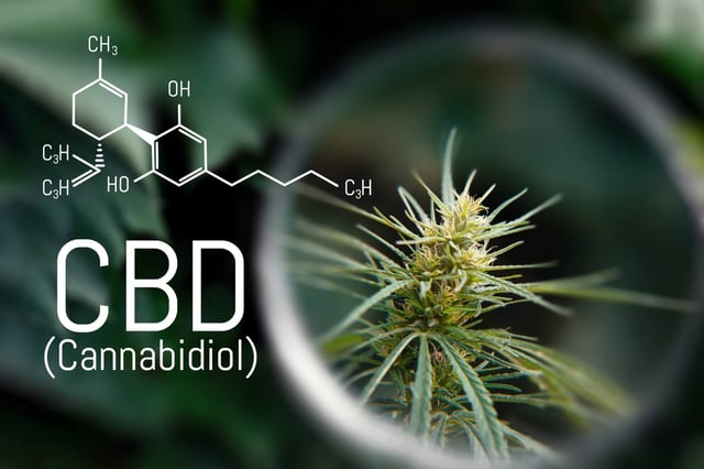 CBD oil formula. (© Aleksandr - stock.adobe.com)