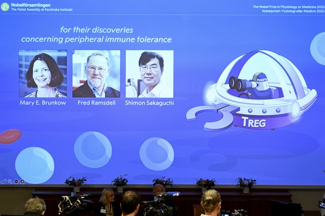 The portraits of Mary Brunkow, Fred Ramsdell and Shimon Sakaguchi are displayed on a screen during a press conference where the winners of the 2025 Nobel Prize in Physiology or Medicine are announced at the Karolinska Institute in Stockholm, Sweden, on Oct. 6, 2025.