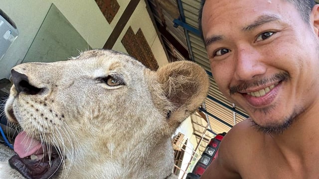 Parinya Parkpoom and his pet lion smiling
