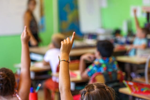 En France, moins d’un enseignant français sur quatre déclare avoir été formé à la gestion de classe ou à l’accompagnement des élèves à besoins éducatifs particuliers, contre 50 % dans l’ensemble de l’OCDE, selon le rapport Talis 2024.