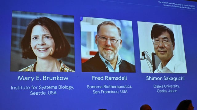 Die Nobelpreisträger für Medizin Mary E. Brunkow, Fred Ramsdell und Shimon Sakaguchi