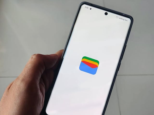 Google Wallet app on loading screen