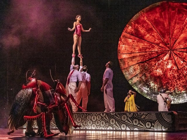 Cirque du Soleil Luzia