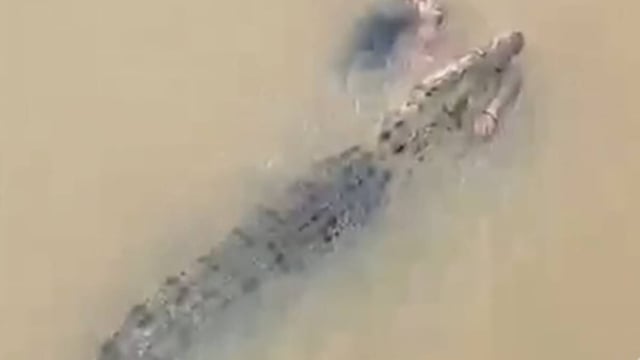  Crocodile Drags  Woman Into Kharasrota River
