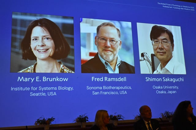 (L-R) The portraits of Mary E Brunkow, Fred Ramsdell and Shimon Sakaguchi are displayed during a press conference where the winners of the 2025 Nobel Prize in Physiology or Medicine are being announced at the Karolinska Institute in Stockholm, Sweden, on October 6, 2025. Mary E. Brunkow and Fred Ramsdell of the United States and Japan's Shimon Sakaguchi won the Nobel Prize in Medicine on Monday for research into how the immune system is kept in check, the Nobel jury said. (Photo by Claudio BRESCIANI / AFP) (Photo by CLAUDIO BRESCIANI/AFP via Getty Images)