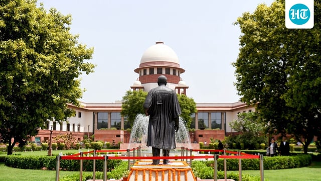 The plea before the Supreme Court said the video shows the gross failure as well as the complete disregard of secular values.