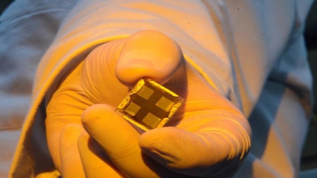 A researcher holding a perovskite solar cell.