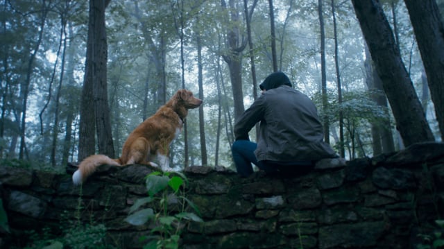 Photo: Danielle Freiberg/IFC Films