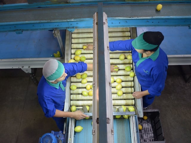 Limones frescos