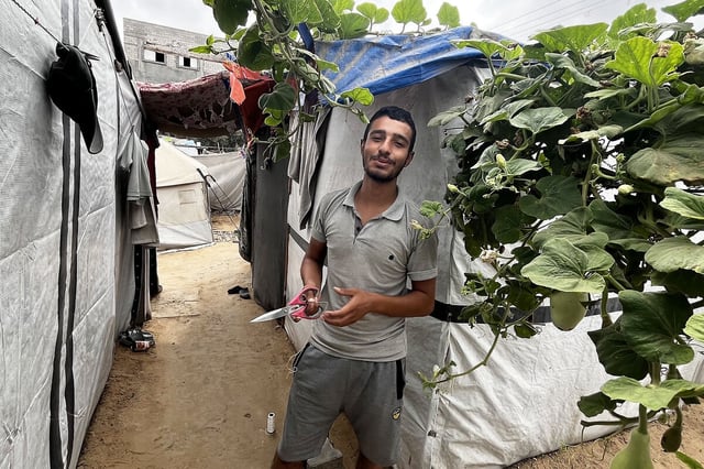 Tamer Misilih, a French studies student at Al-Aqsa University, stands outside his tent in Deir al-Balah. “In the past, when people heard about ceasefire talks, they would cheer, ululate, applaud,” he recalls. “This time, no one even smiled.”  