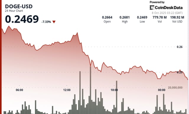 Dogecoin plunges 8% before whale buying stabilizes at doge prices $0.25
