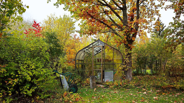 Garden tasks you should do in October