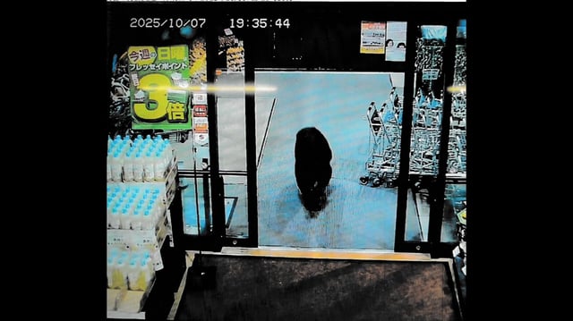 A bear attack in a supermarket in Gunma, Japan, on October 7, 2025