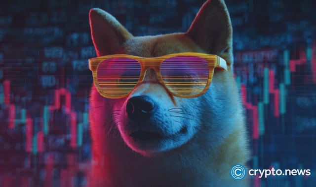 DOGE dogecoin