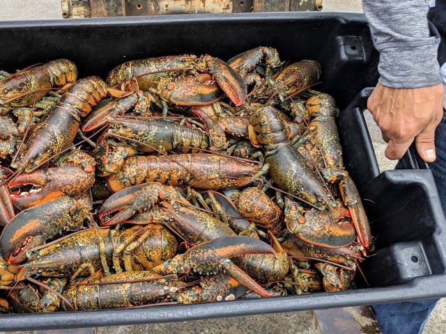 Bolero Shellfish Processing Inc. has been fined $1 million and banned from using the temporary foreign workers program for 10 years for a long list of infractions, including the abuse of its employees.