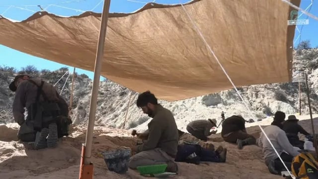 Expedición paleontológica del Conicet en Río Negro