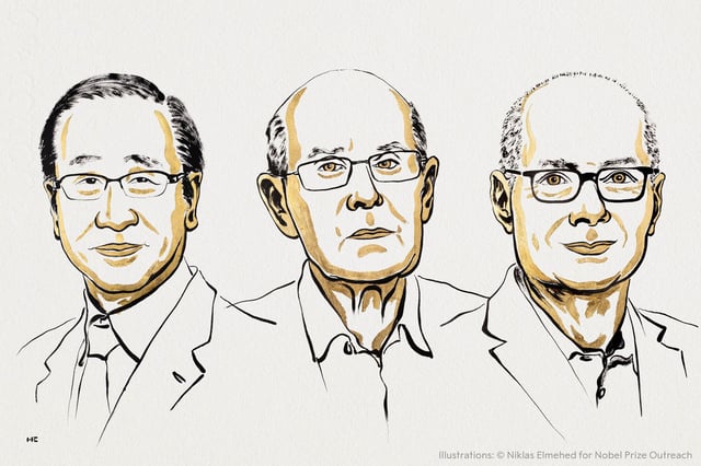 Le prix Nobel de chimie a été décerné mercredi 8 octobre 2025 à un trio de chercheurs ayant travaillé sur les réseaux métallo organiques.