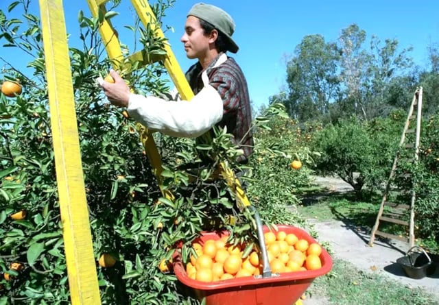 Hoy se celebra el Día del Trabajador Rural
