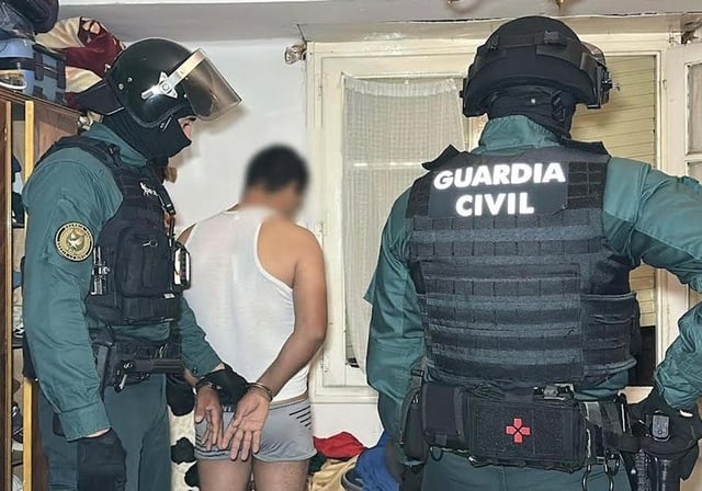 La Guardia Civil detiene a una persona de la red criminal.