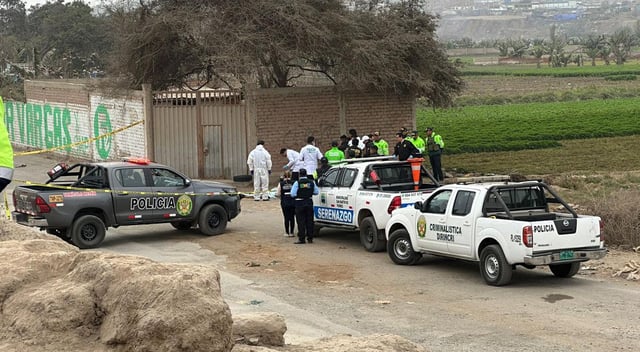 Terror en SMP: Hallan tres cuerpos sin vida en descampado y genera conmoción en los vecinos