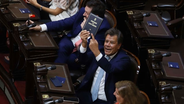 \"Te vamos a hacer mierda\": Facundo Manes denunció que Martín Menem lo amenazó.