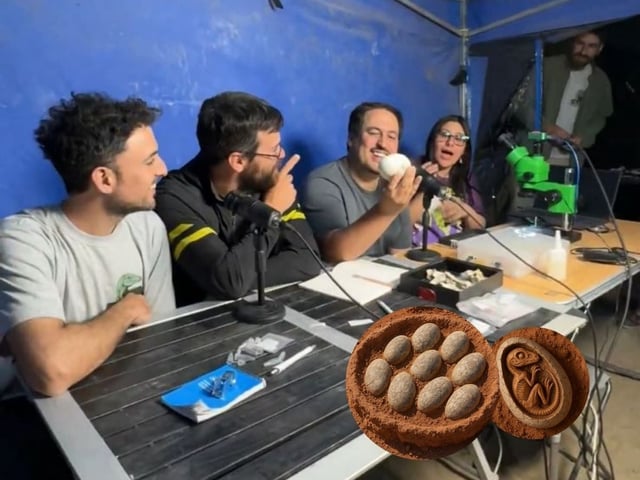 Como si fuera Jurassic Park… pero en vivo y desde Argentina
