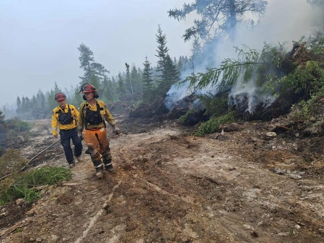 Firefighters survey the damage from the Irishtown fire near Moncton that burned 45 hectares in early August. 