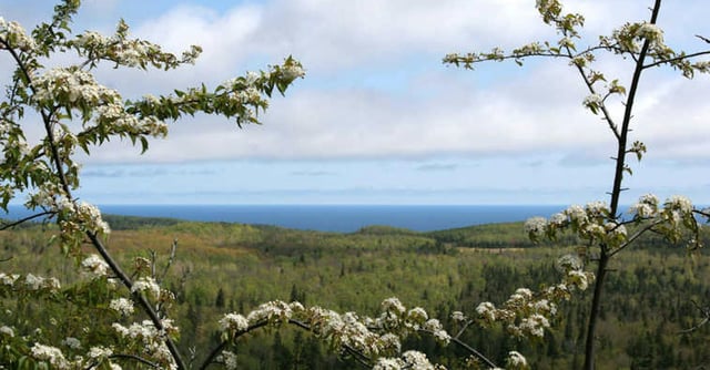 State Parks